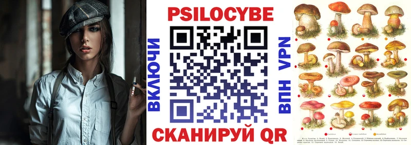Псилоцибиновые грибы Cubensis Назарово