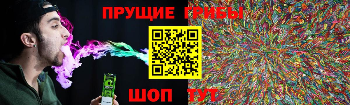 Галлюциногенные грибы прущие грибы  Назарово 