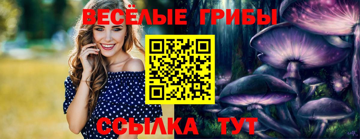 Псилоцибиновые грибы MAGIC MUSHROOMS Назарово